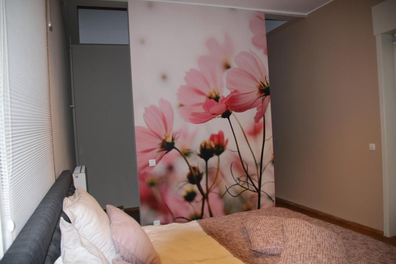 B&B Het Doctershoes Kinrooi エクステリア 写真